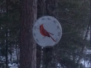 thermometer